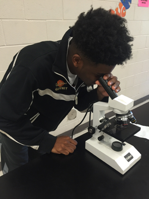 Tay Kershaw looking at bacteria through microscope