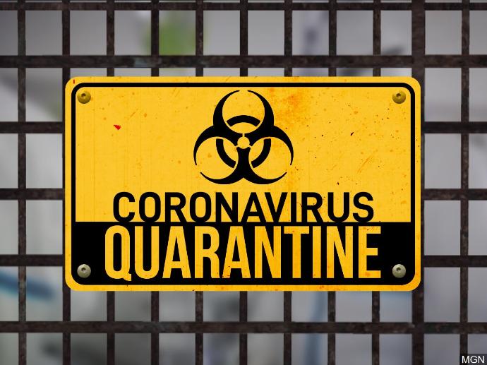 Bored During Quarantine?